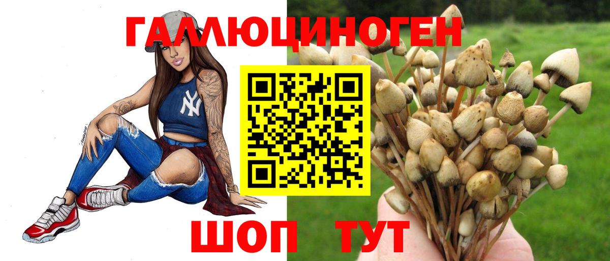 Егорьевск  Псилоцибиновые грибы мухоморы  Вход с VPN  Галлюциногенные грибы прущие грибы 